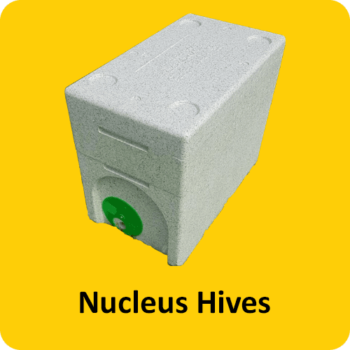 nucleus-button.png