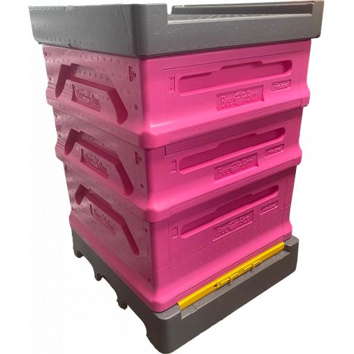 Pink Hive.png